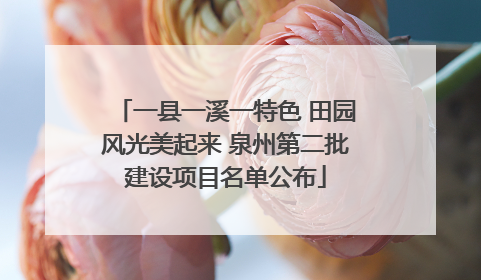 一县一溪一特色 田园风光美起来 泉州第二批建设项目名单公布