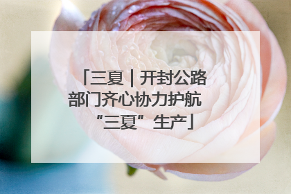 三夏｜开封公路部门齐心协力护航“三夏”生产