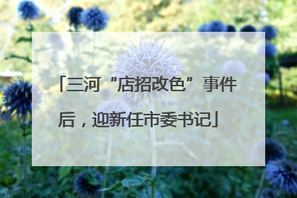 三河“店招改色”事件后，迎新任市委书记