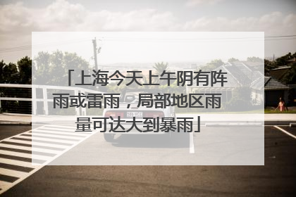 上海今天上午阴有阵雨或雷雨，局部地区雨量可达大到暴雨