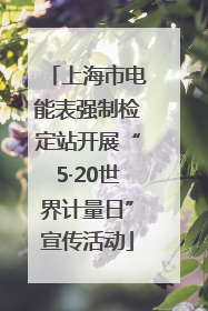 上海市电能表强制检定站开展“5·20世界计量日”宣传活动