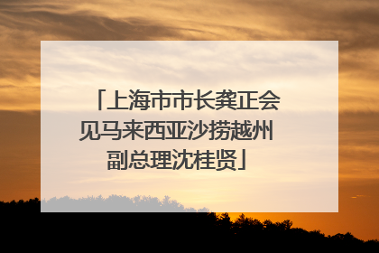 上海市市长龚正会见马来西亚沙捞越州副总理沈桂贤