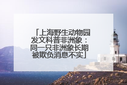 上海野生动物园发文科普非洲象：同一只非洲象长期被欺负消息不实