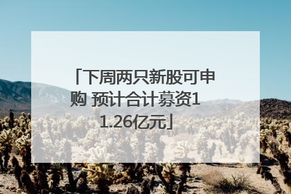 下周两只新股可申购 预计合计募资11.26亿元