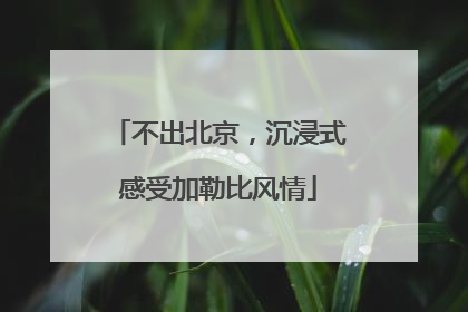 不出北京，沉浸式感受加勒比风情