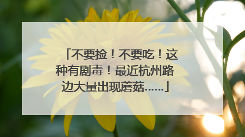 不要捡！不要吃！这种有剧毒！最近杭州路边大量出现蘑菇……