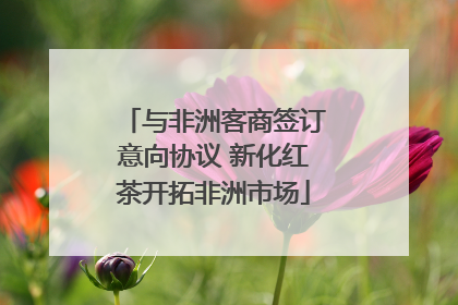 与非洲客商签订意向协议 新化红茶开拓非洲市场