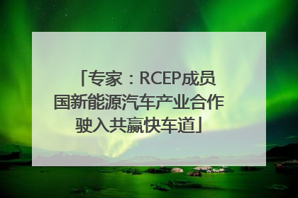 专家：RCEP成员国新能源汽车产业合作驶入共赢快车道