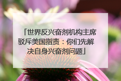 世界反兴奋剂机构主席驳斥美国指责：你们先解决自身兴奋剂问题