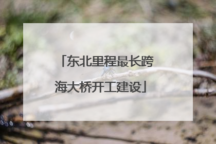 东北里程最长跨海大桥开工建设