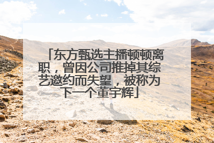 东方甄选主播顿顿离职，曾因公司推掉其综艺邀约而失望，被称为下一个董宇辉