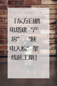 东方白鹳电塔建“产房” “陕电入皖”架线延工期