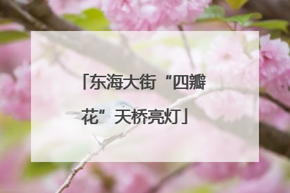 东海大街“四瓣花”天桥亮灯