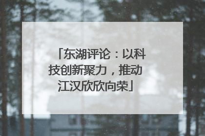 东湖评论：以科技创新聚力，推动江汉欣欣向荣