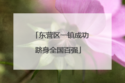 东营区一镇成功跻身全国百强