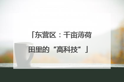 东营区：千亩薄荷田里的“高科技”