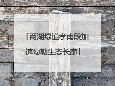 两湖绿道孝南段加速勾勒生态长廊
