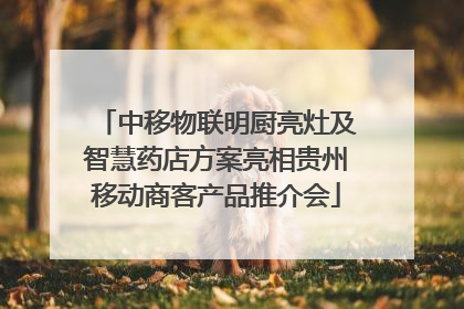 中移物联明厨亮灶及智慧药店方案亮相贵州移动商客产品推介会