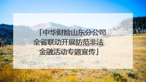中华财险山东分公司全省联动开展防范非法金融活动专题宣传