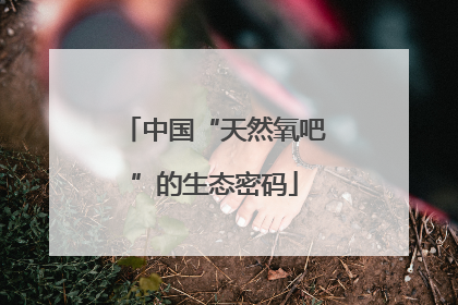 中国“天然氧吧”的生态密码