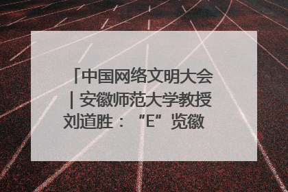 中国网络文明大会｜安徽师范大学教授刘道胜：“E”览徽风，构筑中华民族共有精神家园