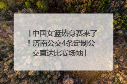 中国女篮热身赛来了！济南公交4条定制公交直达比赛场地