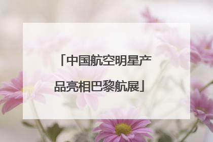 中国航空明星产品亮相巴黎航展