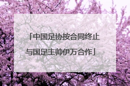 中国足协按合同终止与国足主帅伊万合作