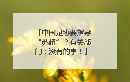 中国足协要指导“苏超”？有关部门：没有的事！