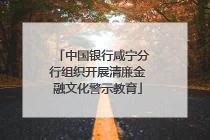 中国银行咸宁分行组织开展清廉金融文化警示教育