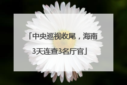 中央巡视收尾，海南3天连查3名厅官