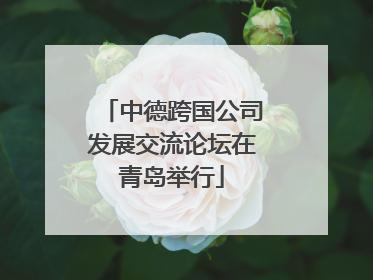 中德跨国公司发展交流论坛在青岛举行