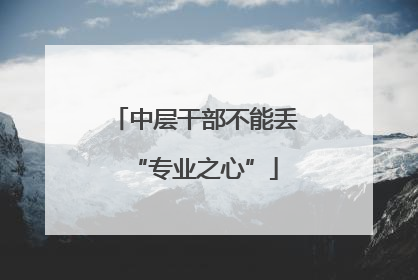 中层干部不能丢“专业之心”