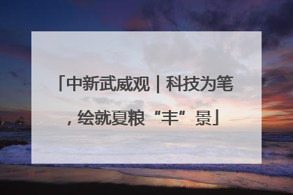 中新武威观｜科技为笔，绘就夏粮“丰”景