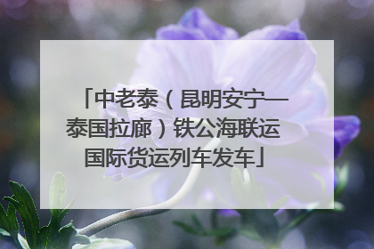 中老泰（昆明安宁—泰国拉廊）铁公海联运国际货运列车发车