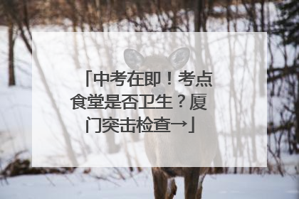 中考在即！考点食堂是否卫生？厦门突击检查→