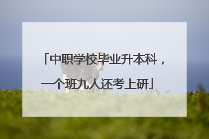 中职学校毕业升本科，一个班九人还考上研