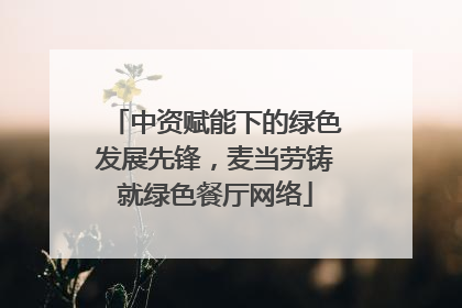 中资赋能下的绿色发展先锋，麦当劳铸就绿色餐厅网络