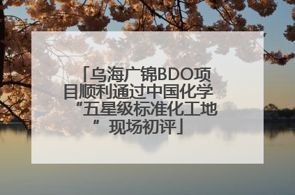 乌海广锦BDO项目顺利通过中国化学“五星级标准化工地”现场初评