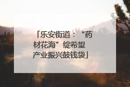 乐安街道：“药材花海”绽希望 产业振兴鼓钱袋