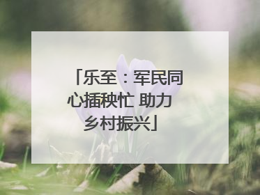 乐至：军民同心插秧忙 助力乡村振兴