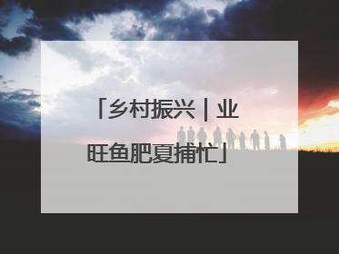 乡村振兴｜业旺鱼肥夏捕忙