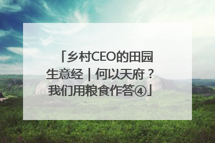 乡村CEO的田园生意经｜何以天府？我们用粮食作答④