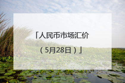 人民币市场汇价（5月28日）