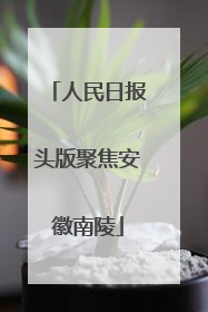 人民日报头版聚焦安徽南陵