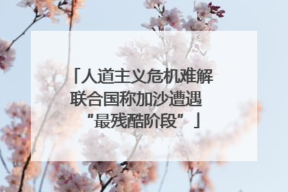 人道主义危机难解 联合国称加沙遭遇“最残酷阶段”