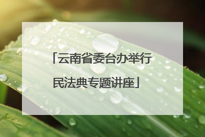 云南省委台办举行民法典专题讲座