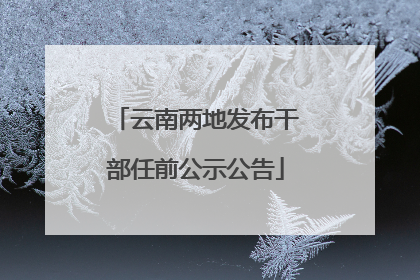 云南两地发布干部任前公示公告