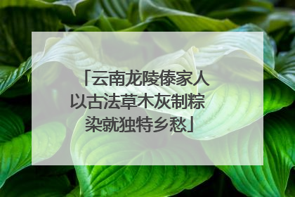 云南龙陵傣家人以古法草木灰制粽 染就独特乡愁