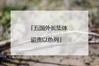 五国外长集体谴责以色列